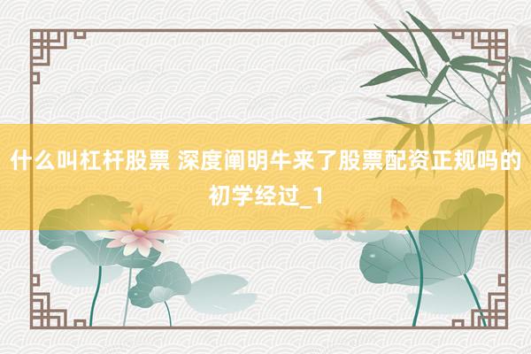 什么叫杠杆股票 深度阐明牛来了股票配资正规吗的初学经过_1